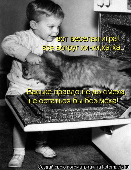 Ваське правдо не до смеха, не остаться бы без меха! все вокруг хи-хи,ха-ха.. вот веселая игра!... Котоматрица: Ваське правдо не до смеха, не остаться бы без меха! все вокруг хи-хи,ха-ха.. вот веселая игра!