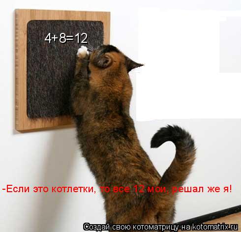 4+8=12 -Если это котлетки, то все 12 мои, решал же я!... Котоматрица: 4+8=12 -Если это котлетки, то все 12 мои, решал же я!
