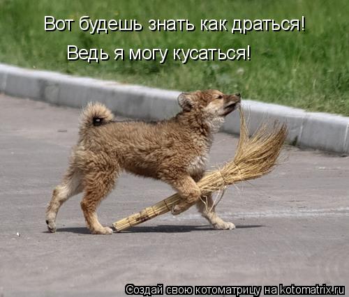 Вот будешь знать как драться! Ведь я могу кусаться!... Котоматрица: Вот будешь знать как драться! Ведь я могу кусаться!