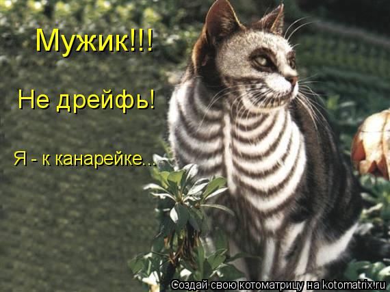 Мужик!!! Не дрейфь! Я - к канарейке...... Котоматрица: Мужик!!! Не дрейфь! Я - к канарейке...
