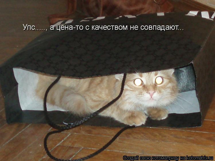 Упс....., а цена-то с качеством не совпадают...... Котоматрица: Упс....., а цена-то с качеством не совпадают...