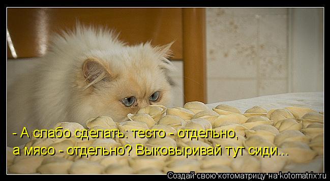 - А слабо сделать: тесто - отдельно, а мясо - отдельно? Выковыривай тут сиди...... Котоматрица: - А слабо сделать: тесто - отдельно, а мясо - отдельно? Выковыривай тут сиди...