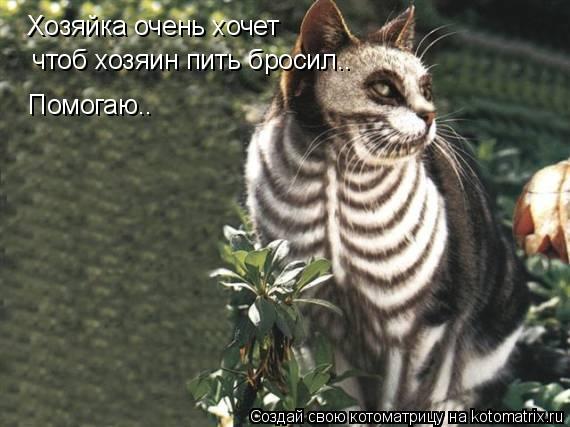 Хозяйка очень хочет чтоб хозяин пить бросил.. Помогаю..... Котоматрица: Хозяйка очень хочет чтоб хозяин пить бросил.. Помогаю..
