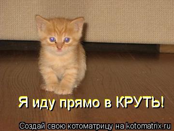 Я иду прямо в КРУТЬ! Я иду прямо в КРУТЬ!... Котоматрица: Я иду прямо в КРУТЬ! Я иду прямо в КРУТЬ!