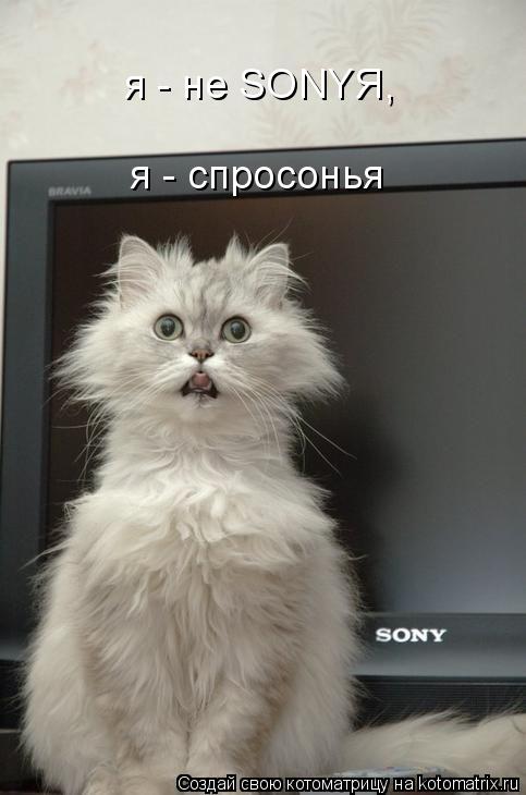 я - не SONYЯ, я - спросонья... Котоматрица: я - не SONYЯ, я - спросонья