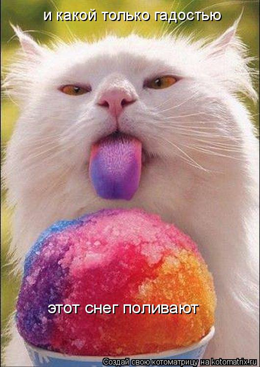 и какой только гадостью этот снег поливают... Котоматрица: и какой только гадостью этот снег поливают
