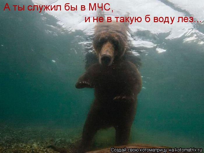 А ты служил бы в МЧС , и не в такую б воду лез...... Котоматрица: А ты служил бы в МЧС , и не в такую б воду лез...