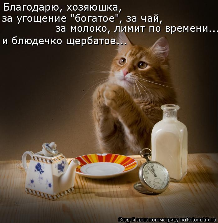 Котоматрица: Благодарю, хозяюшка,  за угощение "богатое", за чай,  за молоко, лимит по времени... и блюдечко щербатое...