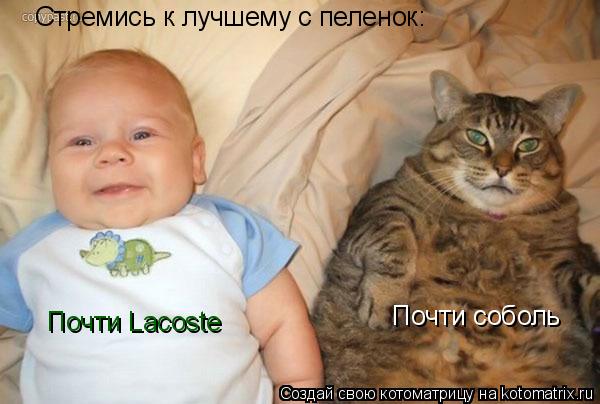 Почти Lacoste Почти соболь Стремись к лучшему с пеленок:... Котоматрица: Почти Lacoste Почти соболь Стремись к лучшему с пеленок:
