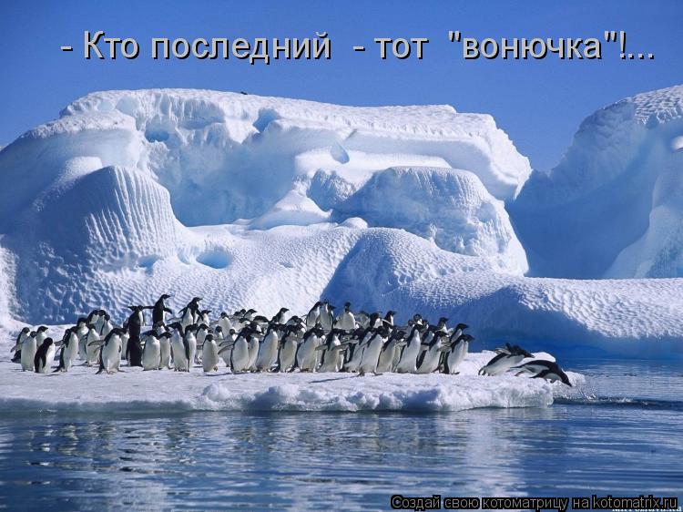 - Кто последний - тот "вонючка"!...... Котоматрица: - Кто последний - тот "вонючка"!...