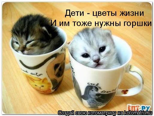 Дети - цветы жизни И им тоже нужны горшки... Котоматрица: Дети - цветы жизни И им тоже нужны горшки