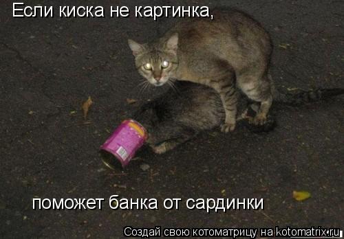 Если киска не картинка, поможет банка от сардинки... Котоматрица: Если киска не картинка, поможет банка от сардинки