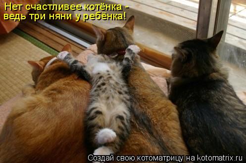 Нет счастливее котёнка - ведь три няни у ребёнка!... Котоматрица: Нет счастливее котёнка - ведь три няни у ребёнка!