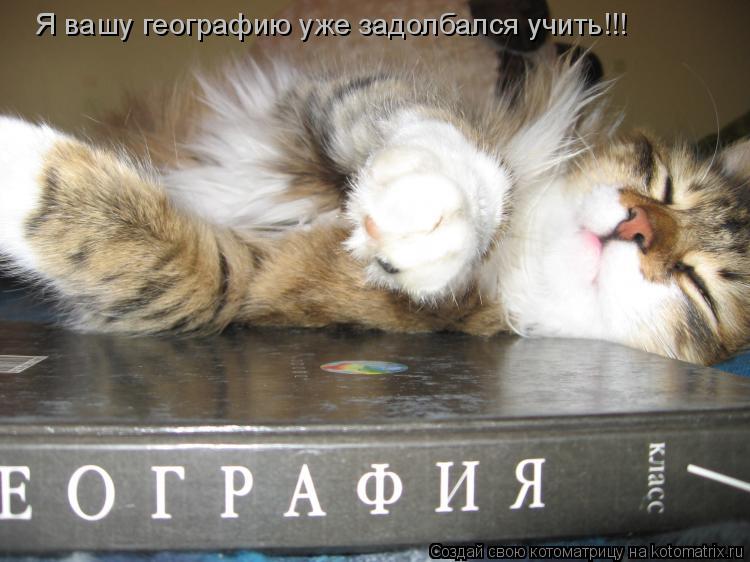 Я вашу географию уже задолбался учить!!!... Котоматрица: Я вашу географию уже задолбался учить!!!