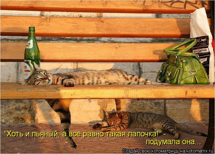 "Хоть и пьяный, а всё равно такая лапочка!" - подумала она...... Котоматрица: "Хоть и пьяный, а всё равно такая лапочка!" - подумала она...