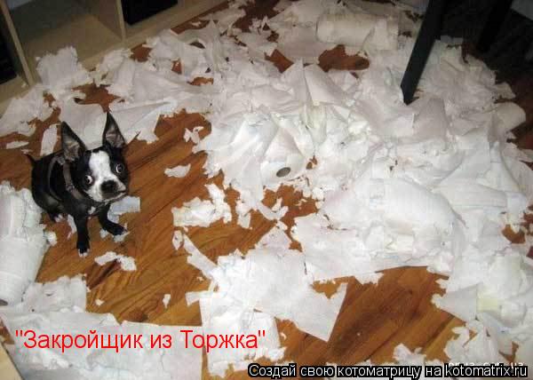 "Закройщик из Торжка"... Котоматрица: "Закройщик из Торжка"