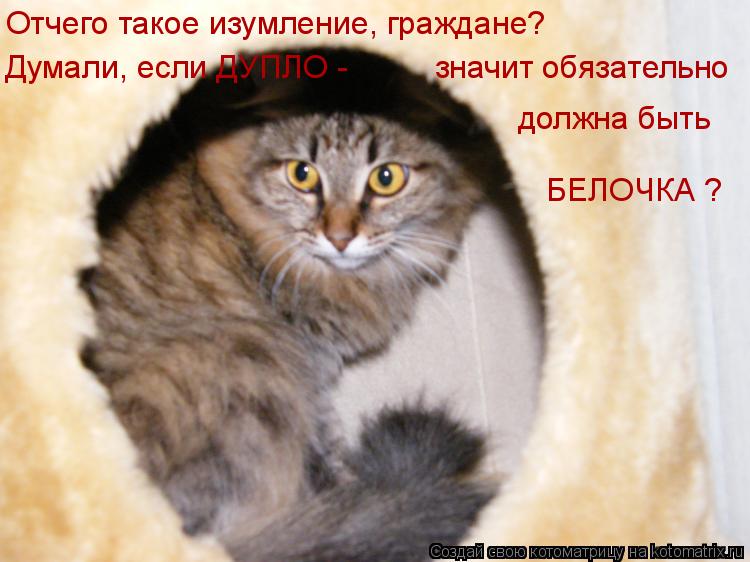 Отчего такое изумление, граждане? Думали, если ДУПЛО - значит обязательно должна быть БЕЛОЧКА ?... Котоматрица: Отчего такое изумление, граждане? Думали, если ДУПЛО - значит обязательно должна быть БЕЛОЧКА ?