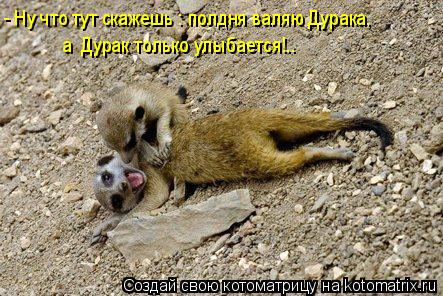 - Ну что тут скажешь : полдня валяю Дурака, а Дурак только улыбается!..... Котоматрица: - Ну что тут скажешь : полдня валяю Дурака, а Дурак только улыбается!..