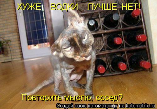 ХУЖЕ ВОДКИ ЛУЧШЕ НЕТ! Повторить мыслю, сосед?... Котоматрица: ХУЖЕ ВОДКИ ЛУЧШЕ НЕТ! Повторить мыслю, сосед?