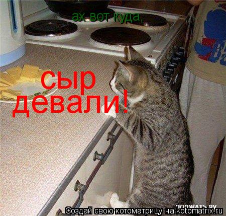 ах вот куда, сыр девали!... Котоматрица: ах вот куда, сыр девали!