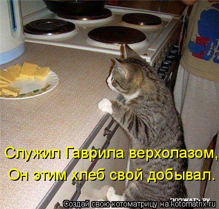 Служил Гаврила верхолазом, Он этим хлеб свой добывал.... Котоматрица: Служил Гаврила верхолазом, Он этим хлеб свой добывал.
