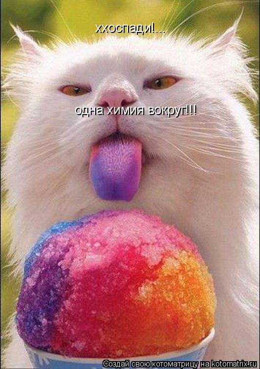 ххоспади!... одна химия вокруг!!!... Котоматрица: ххоспади!... одна химия вокруг!!!