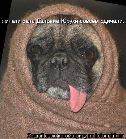 жители села Дальние Юрухи совсем одичали...... Котоматрица: жители села Дальние Юрухи совсем одичали...