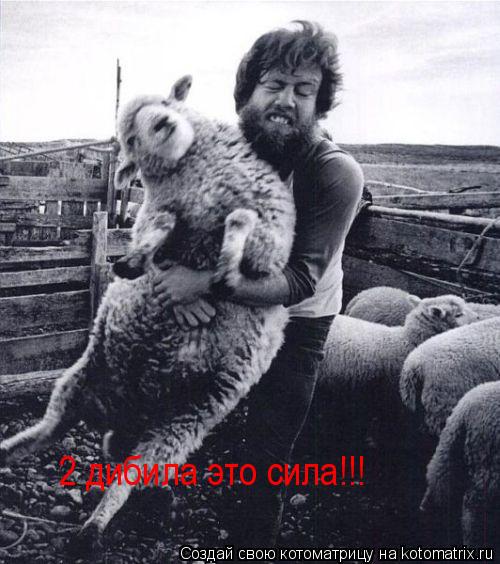 2 дибила это сила!!!... Котоматрица: 2 дибила это сила!!!