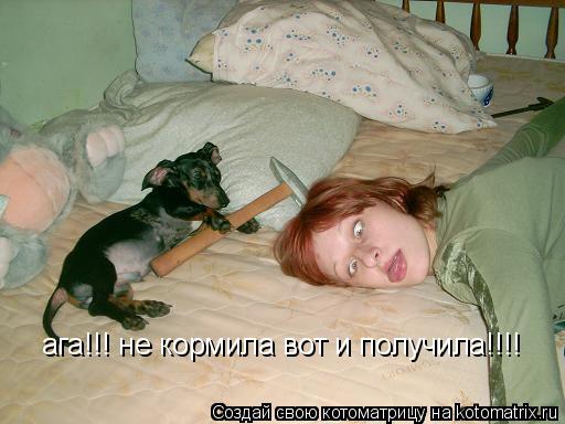 ага!!! не кормила вот и получила!!!!... Котоматрица: ага!!! не кормила вот и получила!!!!