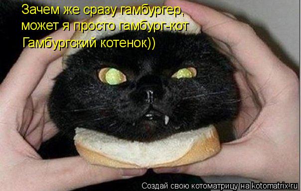 Зачем же сразу гамбургер, может я просто гамбург-кот Гамбургский котенок))... Котоматрица: Зачем же сразу гамбургер, может я просто гамбург-кот Гамбургский котенок))