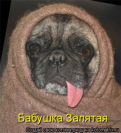 Бабушка Запятая... Котоматрица: Бабушка Запятая