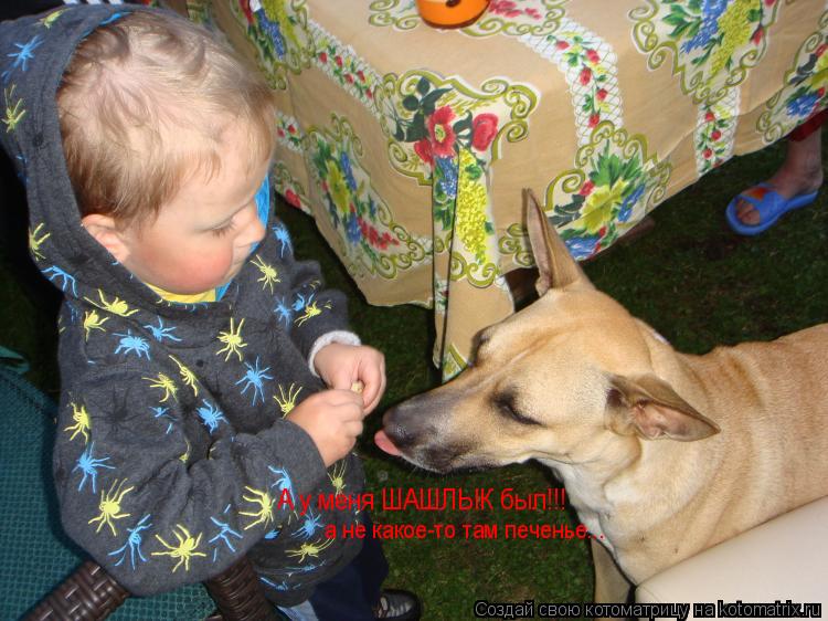а не какое-то там печенье... А у меня ШАШЛЫК был!!!... Котоматрица: а не какое-то там печенье... А у меня ШАШЛЫК был!!!