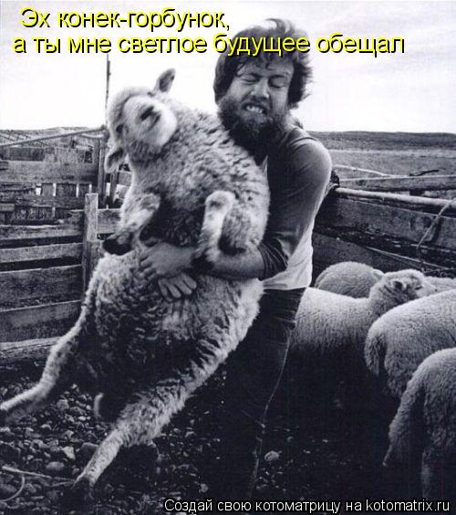 Эх конек-горбунок, а ты мне светлое будущее обещал... Котоматрица: Эх конек-горбунок, а ты мне светлое будущее обещал