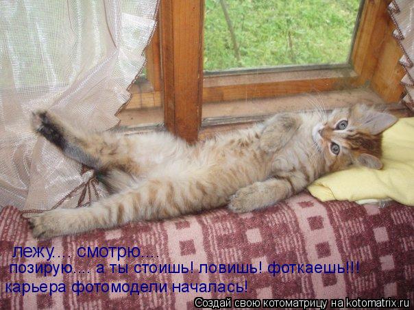 лежу.... смотрю.... позирую.... а ты стоишь! ловишь! фоткаешь!!! карьера фотомодели началась!... Котоматрица: лежу.... смотрю.... позирую.... а ты стоишь! ловишь! фоткаешь!!! карьера фотомодели началась!