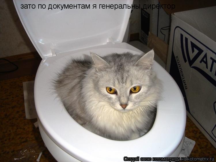 зато по документам я генеральны директор зато по документам я генеральны директор... Котоматрица: зато по документам я генеральны директор зато по документам я генеральны директор