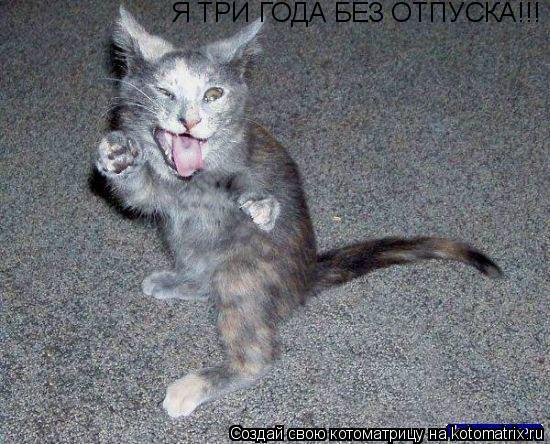 Я ТРИ ГОДА БЕЗ ОТПУСКА!!! Я ТРИ ГОДА БЕЗ ОТПУСКА!!!... Котоматрица: Я ТРИ ГОДА БЕЗ ОТПУСКА!!! Я ТРИ ГОДА БЕЗ ОТПУСКА!!!