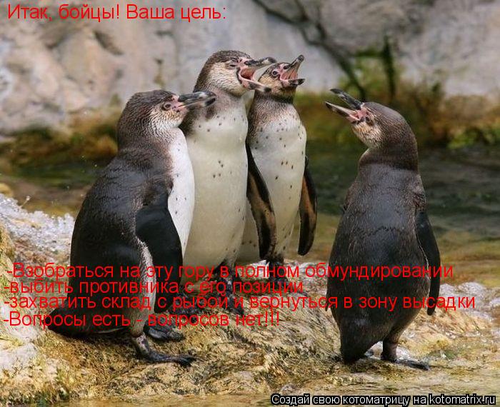 Итак, бойцы! Ваша цель: -Взобраться на эту гору в полном обмундировании -выбить противника с его пози... Котоматрица: Итак, бойцы! Ваша цель: -Взобраться на эту гору в полном обмундировании -выбить противника с его позиции -захватить склад с рыбой и вернуться