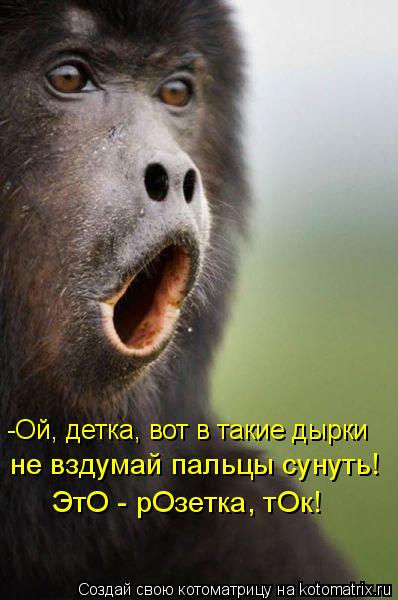 -Ой, детка, вот в такие дырки не вздумай пальцы сунуть! ЭтО - рОзетка, тОк!... Котоматрица: -Ой, детка, вот в такие дырки не вздумай пальцы сунуть! ЭтО - рОзетка, тОк!