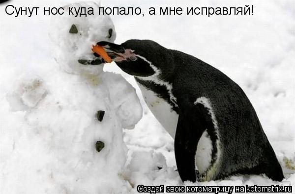 Сунут нос куда попало, а мне исправляй!... Котоматрица: Сунут нос куда попало, а мне исправляй!