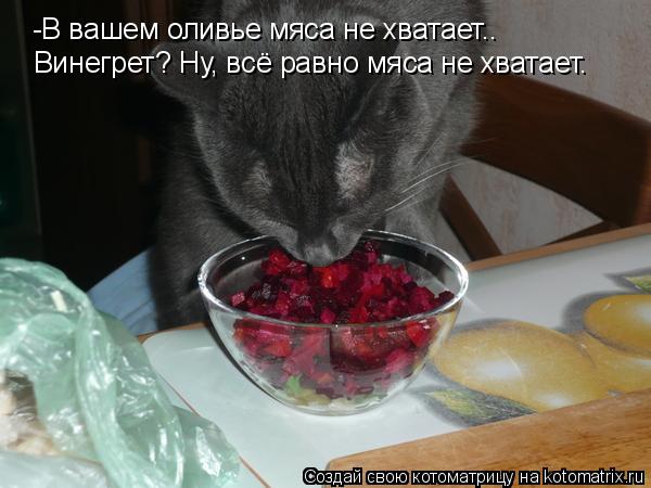 -В вашем оливье мяса не хватает.. Винегрет? Ну, всё равно мяса не хватает.... Котоматрица: -В вашем оливье мяса не хватает.. Винегрет? Ну, всё равно мяса не хватает.