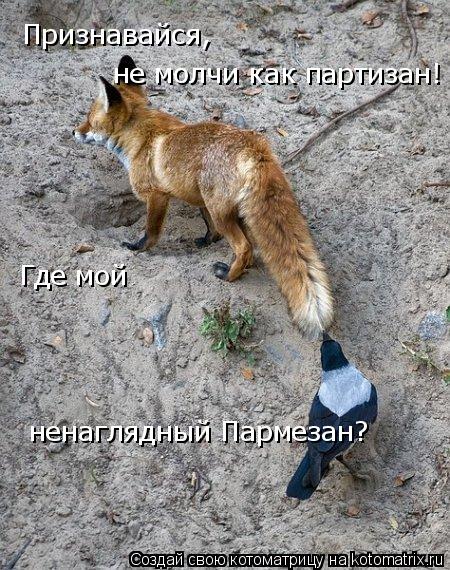 Признавайся, не молчи как партизан! Где мой ненаглядный Пармезан?... Котоматрица: Признавайся, не молчи как партизан! Где мой ненаглядный Пармезан?
