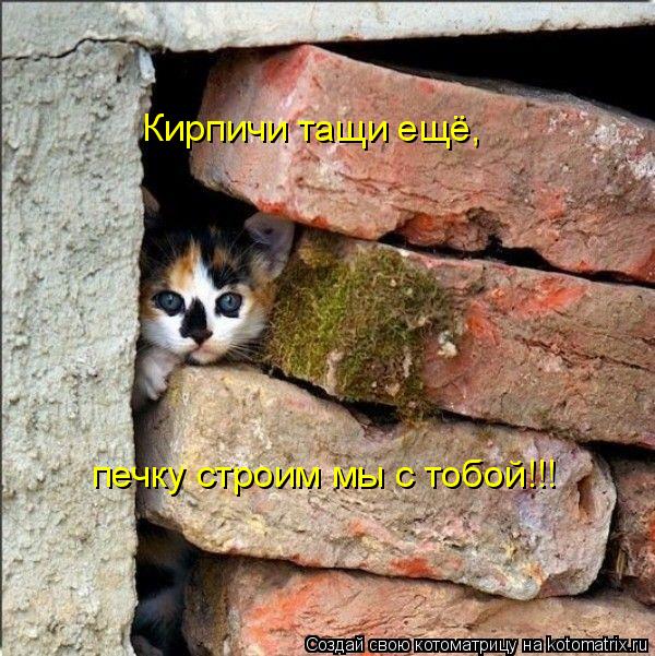 Кирпичи тащи ещё, печку строим мы с тобой!!!... Котоматрица: Кирпичи тащи ещё, печку строим мы с тобой!!!