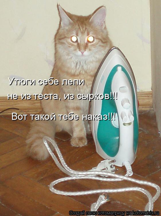Утюги себе лепи не из теста, из сырков!!! Вот такой тебе наказ!!!... Котоматрица: Утюги себе лепи не из теста, из сырков!!! Вот такой тебе наказ!!!