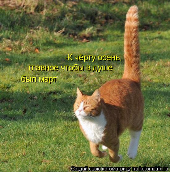 -К чёрту осень, главное чтобы в душе был март... Котоматрица: -К чёрту осень, главное чтобы в душе был март