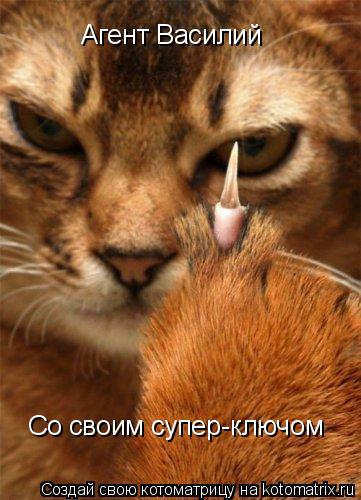 Агент Василий Со своим супер-ключом... Котоматрица: Агент Василий Со своим супер-ключом