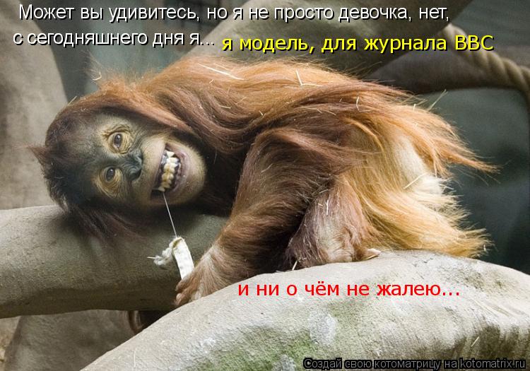с сегодняшнего дня я... с сегодняшнего дня я... я модель, для журнала BBC и ни о чём не жалею... Може... Котоматрица: с сегодняшнего дня я... с сегодняшнего дня я... я модель, для журнала BBC и ни о чём не жалею... Может вы удивитесь, но я не просто девочка, нет,