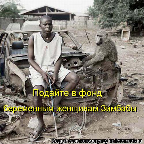 Подайте в фонд беременным женщинам Зимбабы... Котоматрица: Подайте в фонд беременным женщинам Зимбабы