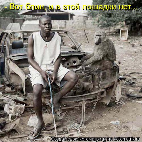 Котоматрица: - Вот блин, и в этой лошадки нет...