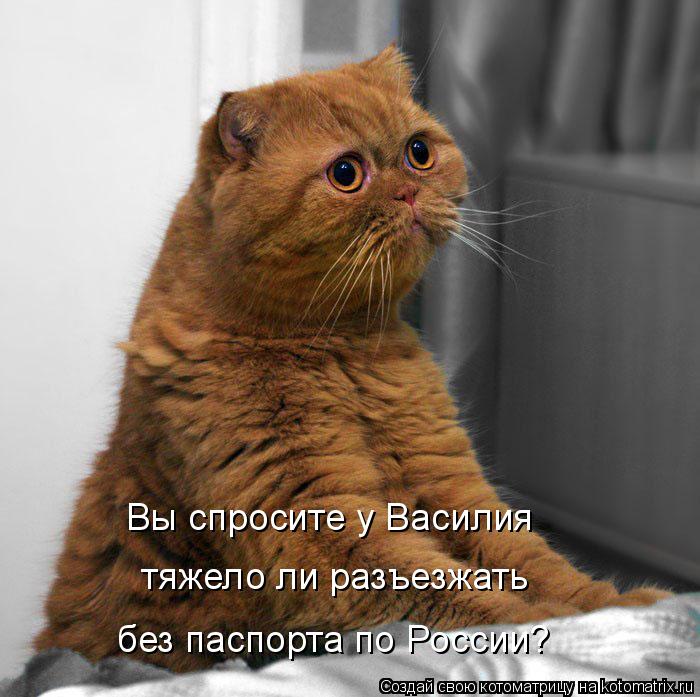 Вы спросите у Василия тяжело ли разъезжать без паспорта по России?... Котоматрица: Вы спросите у Василия тяжело ли разъезжать без паспорта по России?