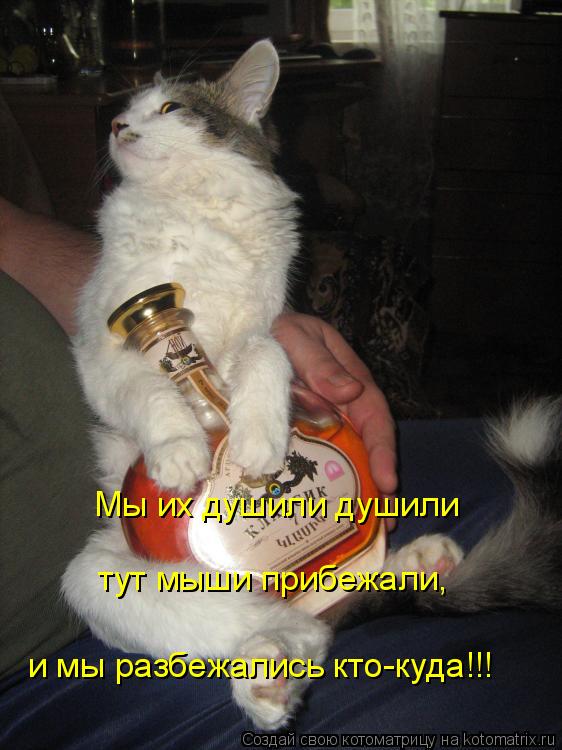 Мы их душили душили тут мыши прибежали, и мы разбежались кто-куда!!!... Котоматрица: Мы их душили душили тут мыши прибежали, и мы разбежались кто-куда!!!